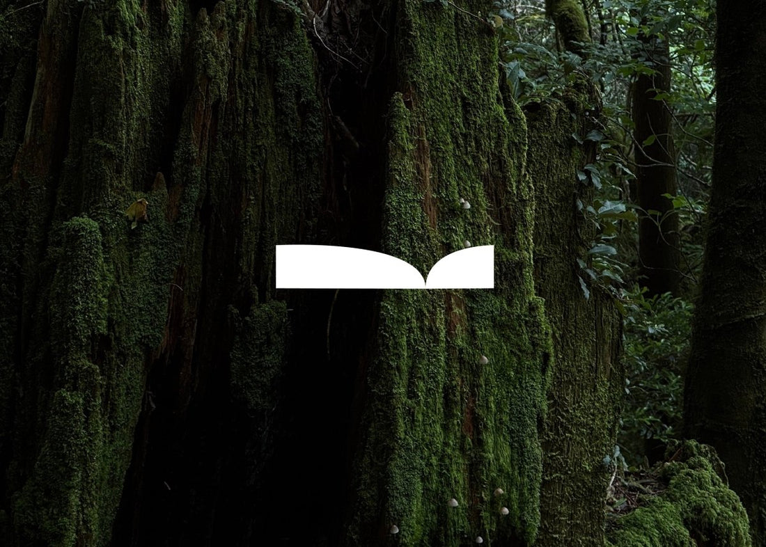 品牌精神 - 嘉嶼 CATTEA®