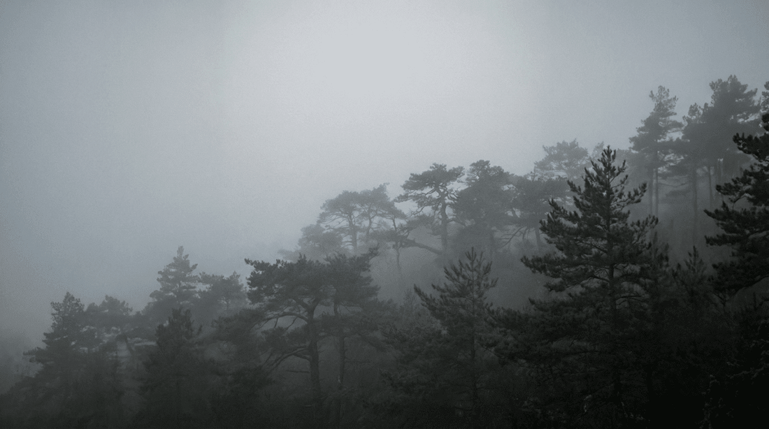 品牌故事 - 嘉嶼 CATTEA®