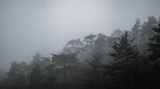 品牌故事 - 嘉嶼 CATTEA®